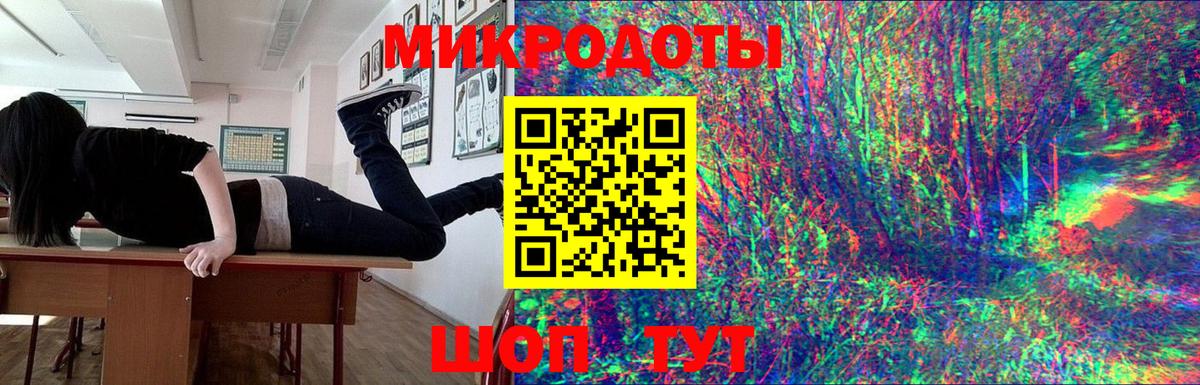 Псилоцибиновые грибы Psilocybe Рассказово